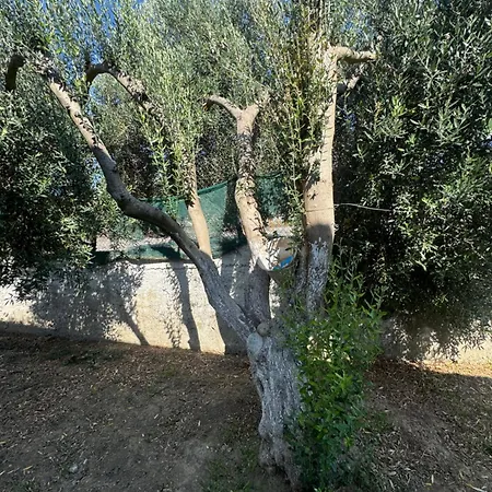 Apartment Greek Dav Aetochori